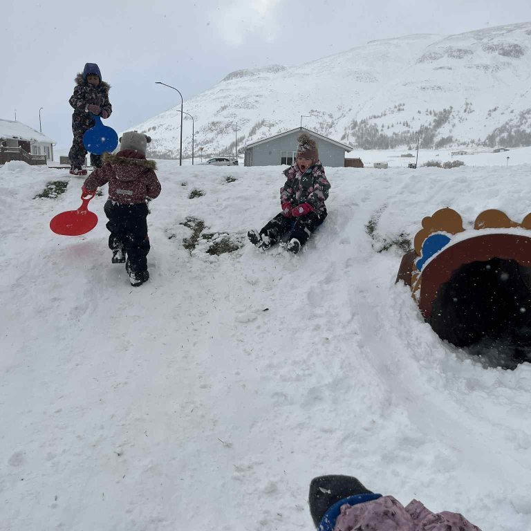 ccc7317f-c43f-4dba-a718-933df1d4f52e