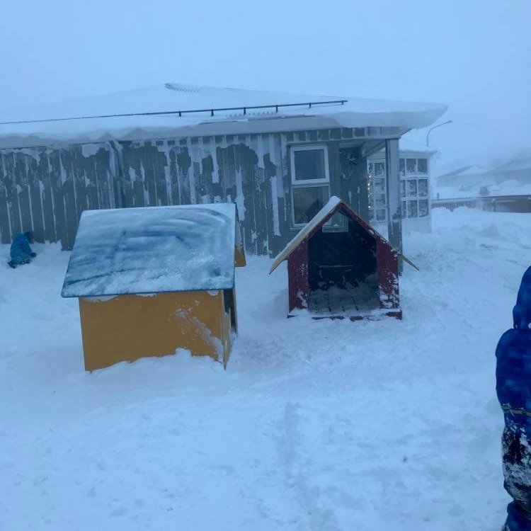 128722288_704474116868366_6518386250295863819_n