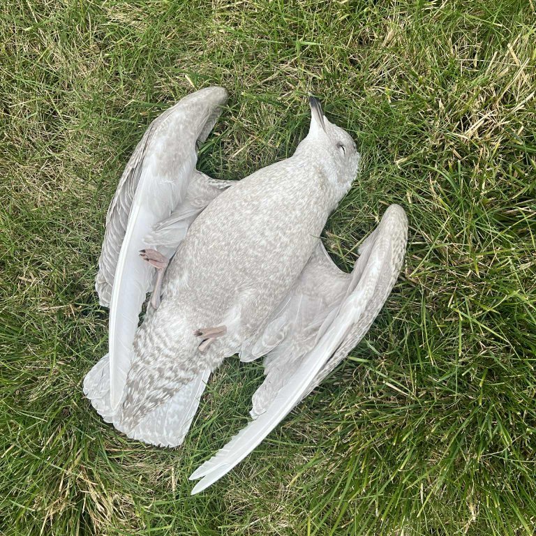 418a9e85-7566-4c24-940e-477983a162a6