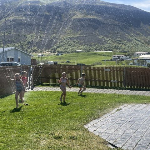img_1092.jpg
