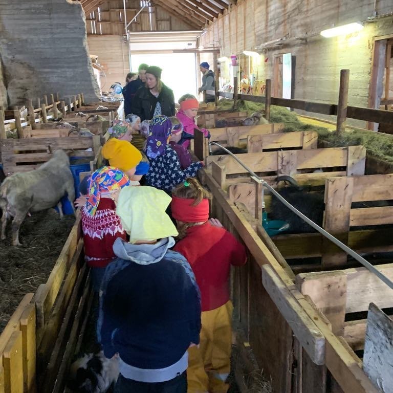 60490987_373794229939657_1052930104700698624_n