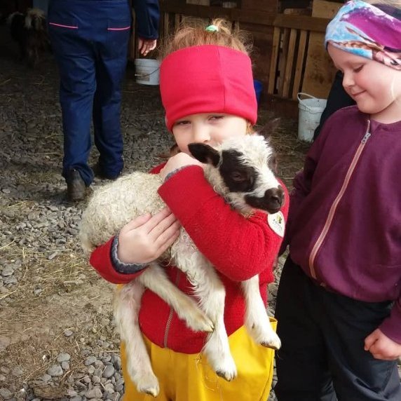 60545482_945276235852994_999488771529375744_n