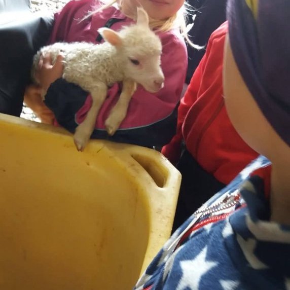 60598565_683970382068046_2149983778527772672_n