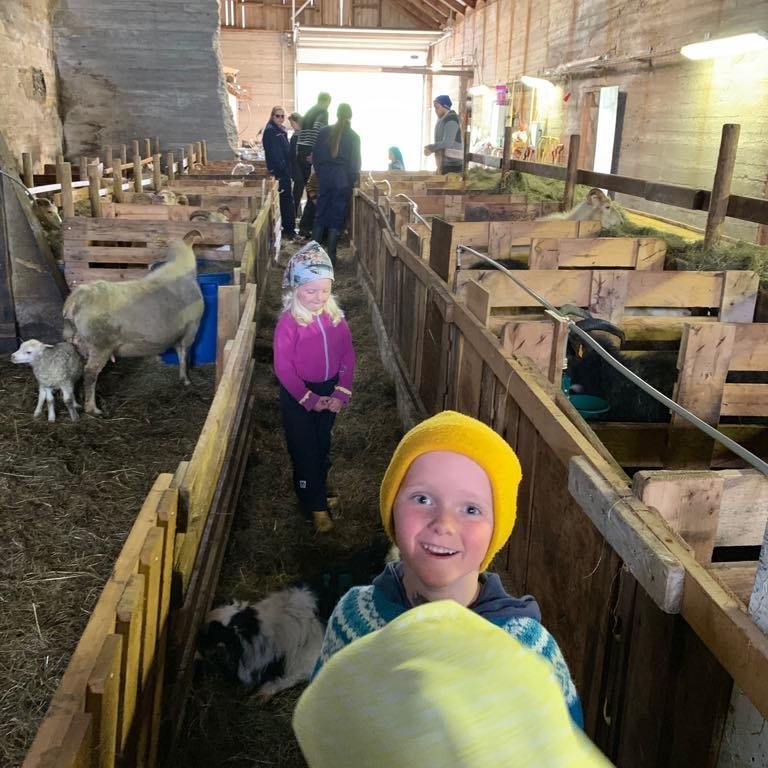 60668593_431616460951517_3302082655163514880_n