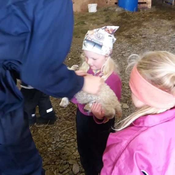 60670829_425769651578903_491477402648576_n