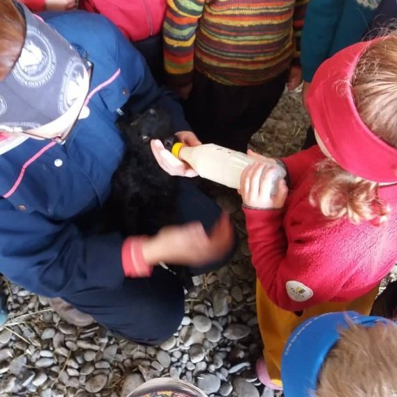 60702582_446420456119903_982759100817342464_n