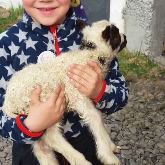 60722395_383976435659576_8365876254225727488_n