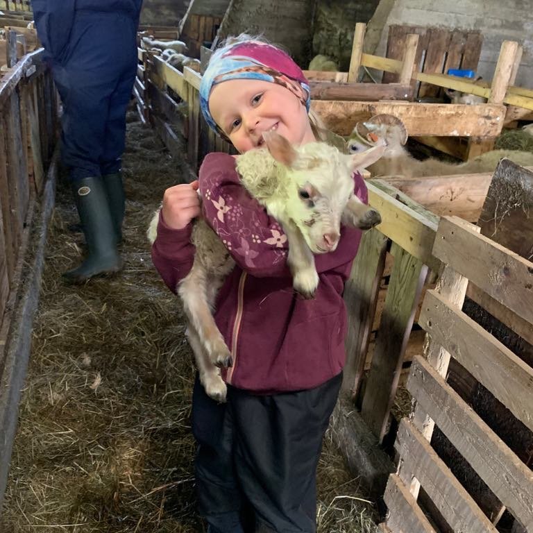 60847725_426985647882734_8741877053030137856_n