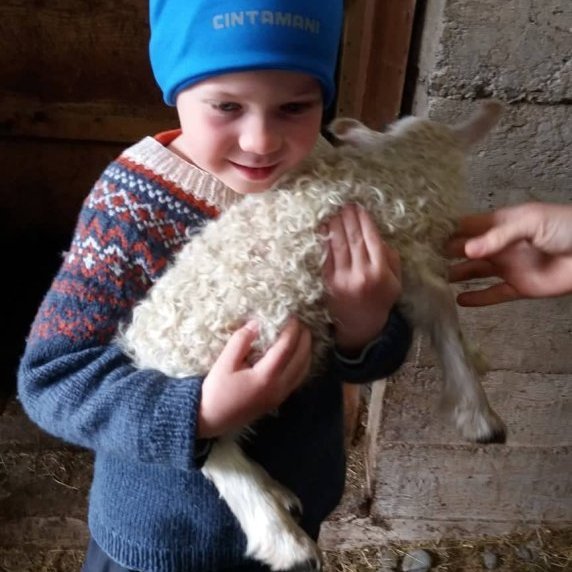 60849466_2627060387520541_295946838949756928_n