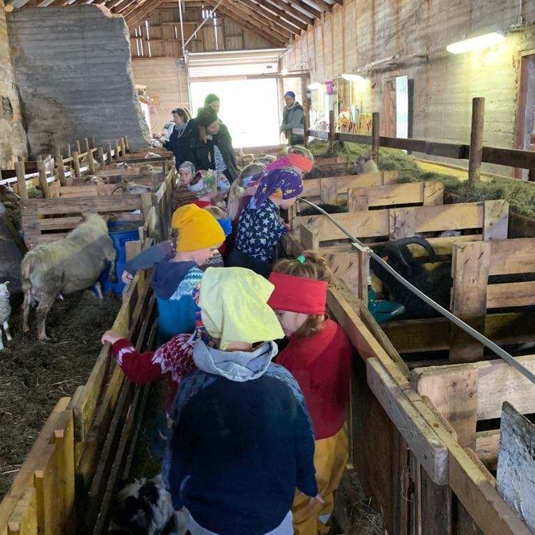 60884295_452028155588753_7711145705842147328_n