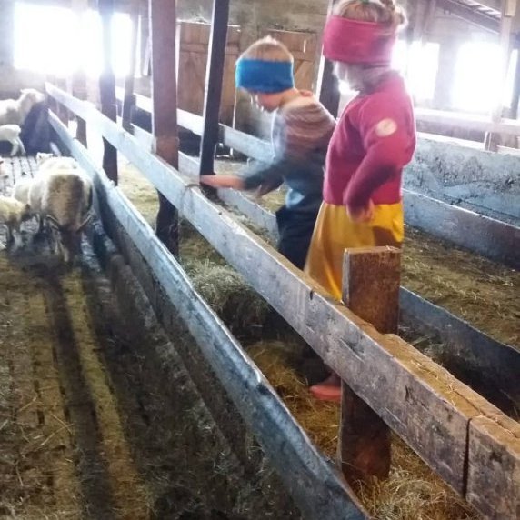 60915289_393267681272637_4284630976165838848_n