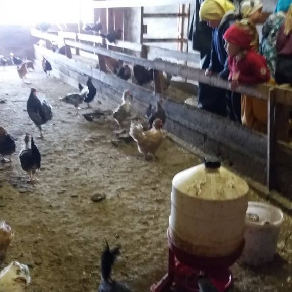 60954389_327431344603910_1176160889745702912_n