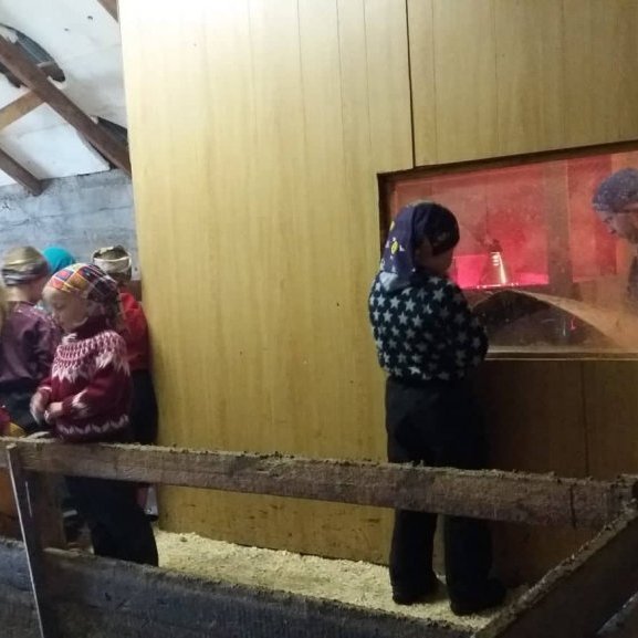 61135829_2353375428076617_339851734111223808_n