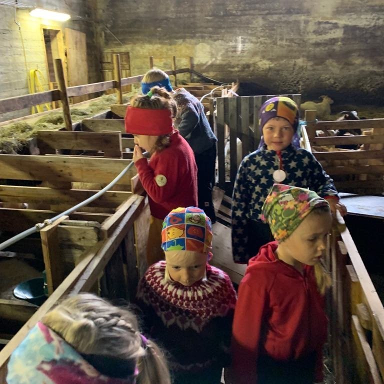 61186805_595944984232983_1134176137023324160_n