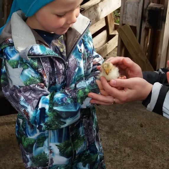 61307024_274706349979043_8869966124691750912_n