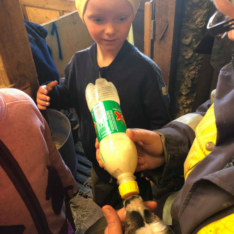 33059922_10216086308932430_1769427827603537920_n