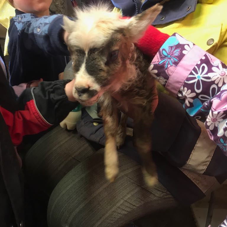 33087610_10217005902166578_190230135968890880_n