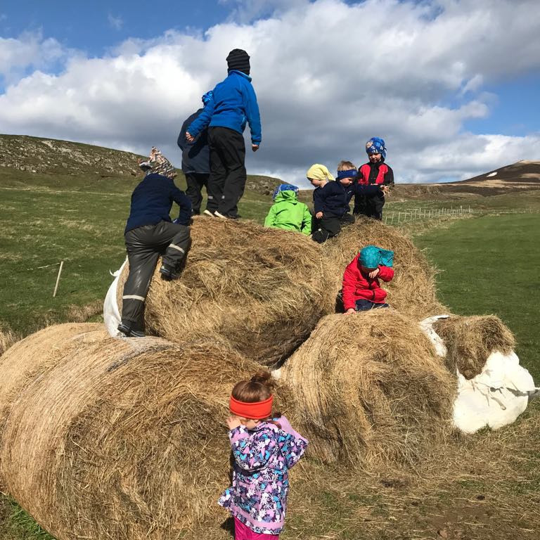 33246716_10217005910286781_8838707700603813888_n