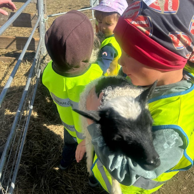 26b54607-e4df-46d8-a4f2-8cbc1a70cd01