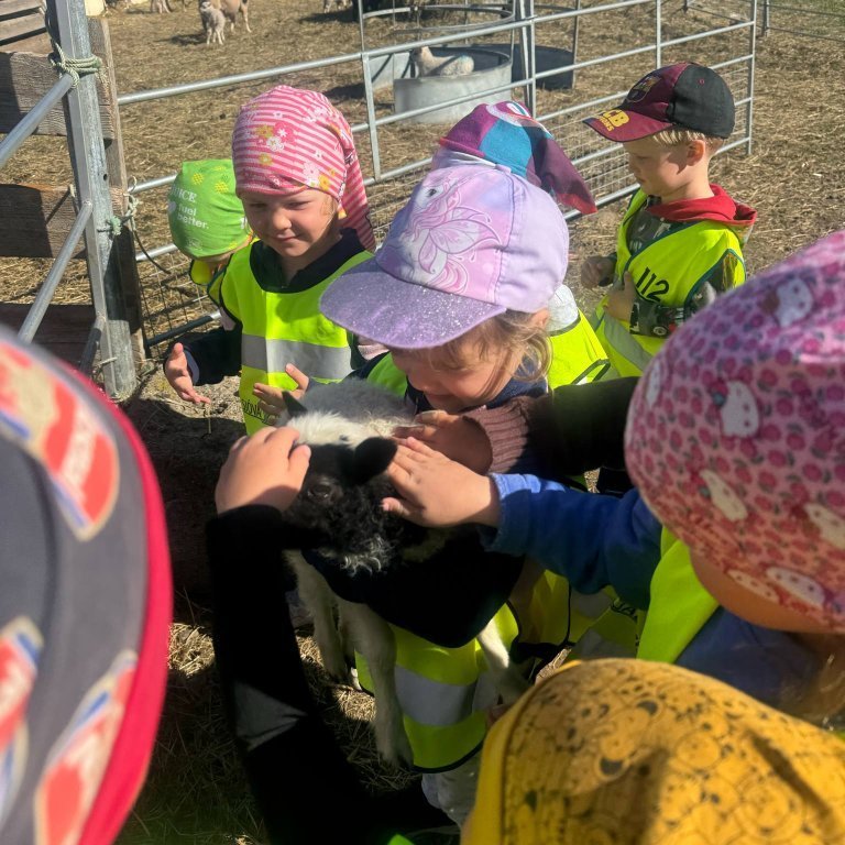 4d138743-64a0-483f-a34e-de224e730314