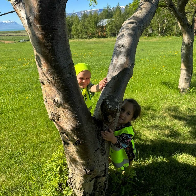 571482c4-afd3-4238-b874-6f29509945f0