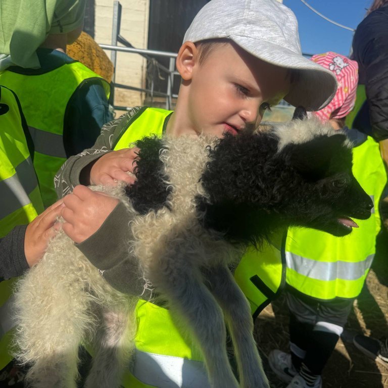 5b745e86-a6d8-410d-8ba8-c7d46fff8656