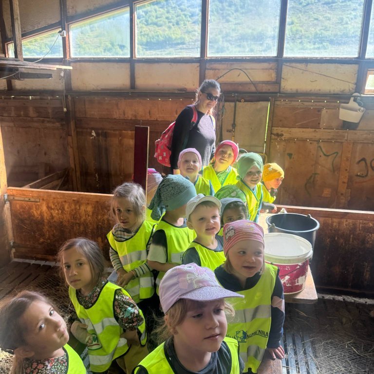 658c5649-4ca3-46f9-8863-9398414fa886