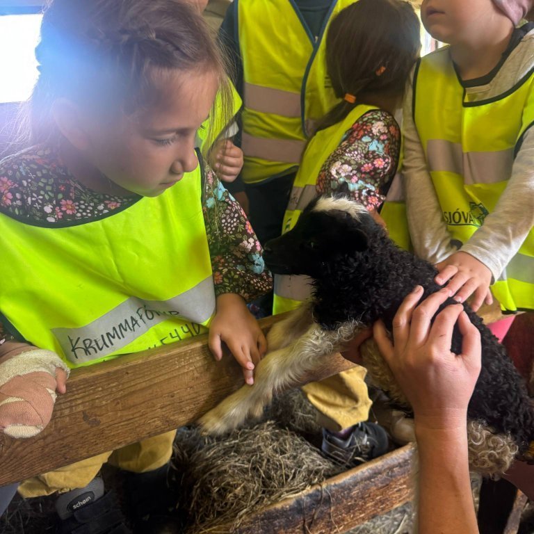 73ad711c-43d0-4f45-805d-dfdd0700e91e