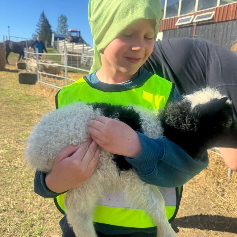 7546f265-ed3b-4f71-8b58-7083f329c0cc