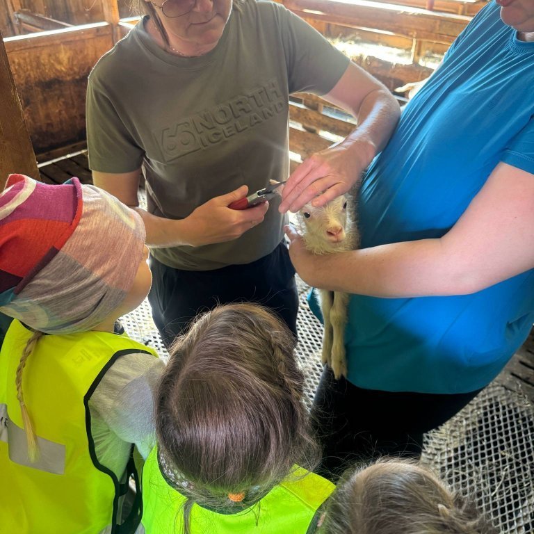 779b0da9-e7f9-4698-99a8-d1dfc5b1f4a9