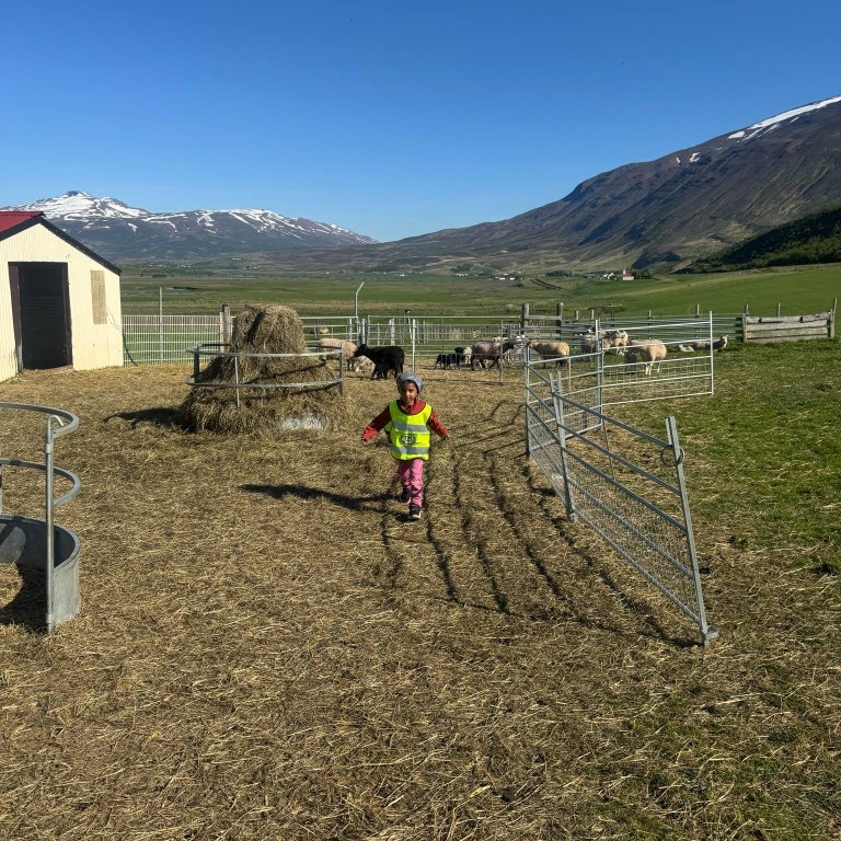 90129918-add2-479c-b486-52b5c1220daa