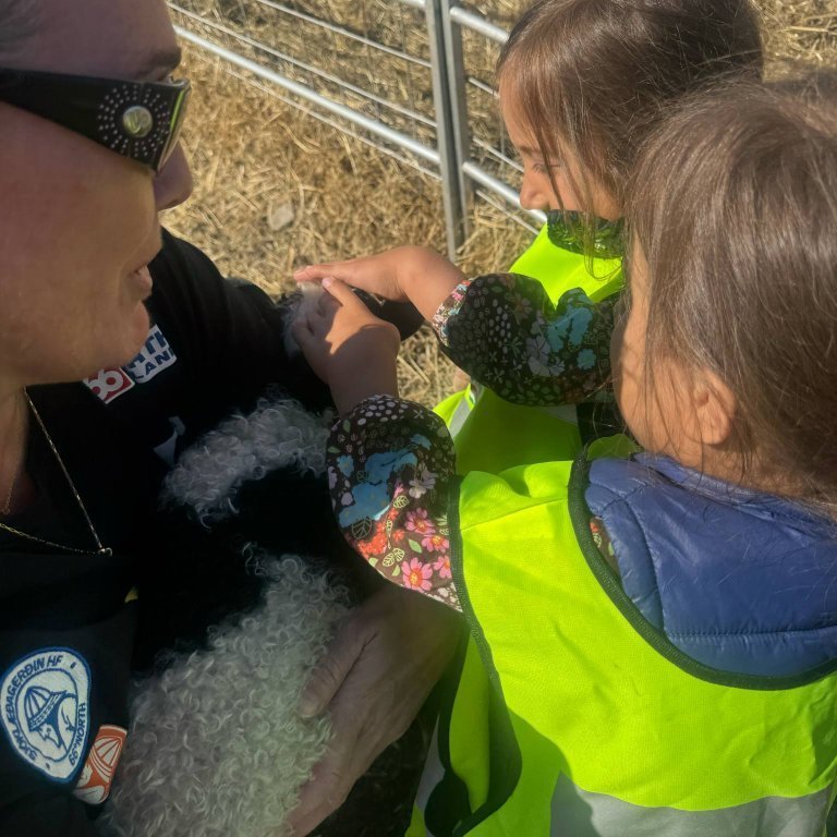 91721c33-75e0-4688-9796-6f2de0048c04