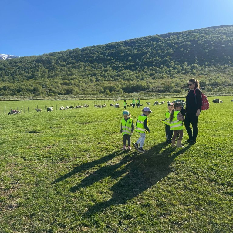 9d998b6e-696a-4924-b14b-ff58c5dd4fae