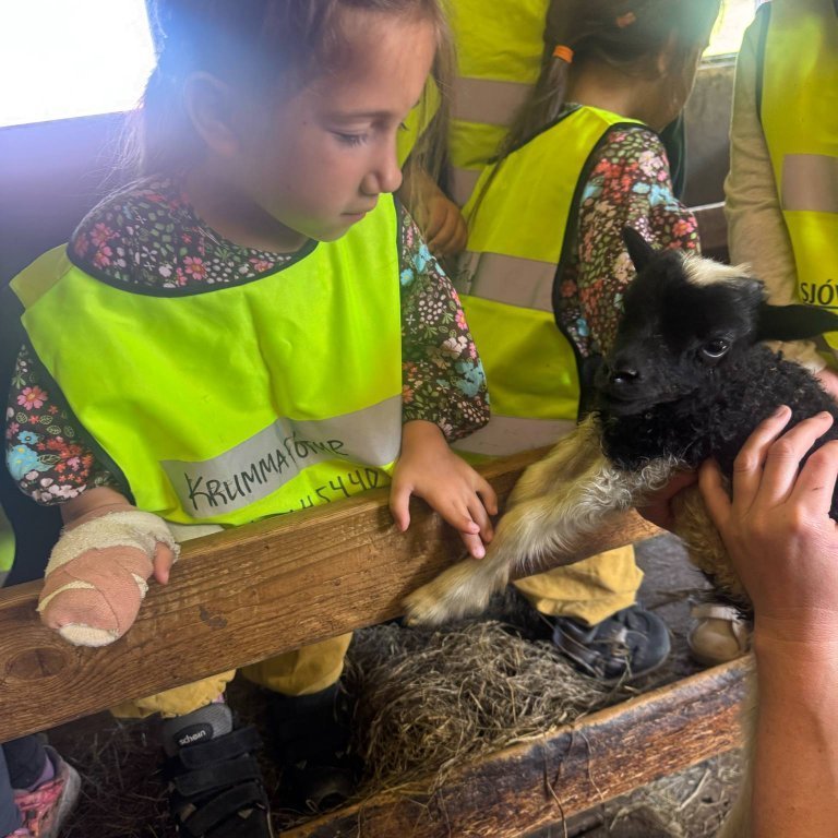 9ec26a4a-019a-403c-aa45-a6d4f3882f6b