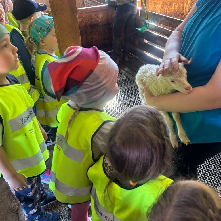 c070a731-7ab3-4e1b-9c28-5bf17e0619eb