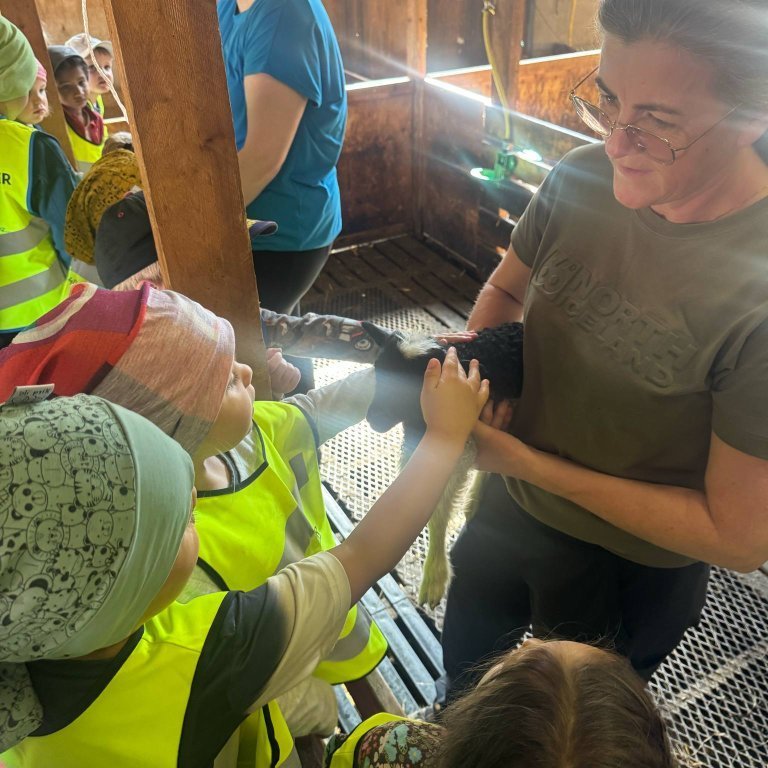 c4c55cb2-ea3f-4275-9972-1fe95aff8156