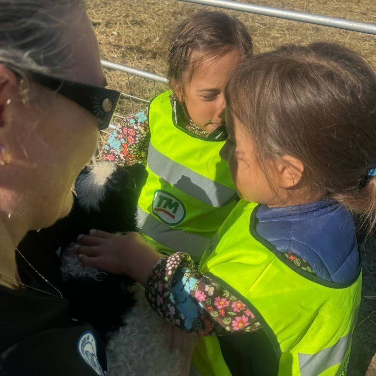 cb78006c-abbc-4b4d-a43d-3cc3b6edc960