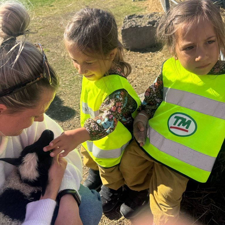 d28124a0-4bfb-4e89-9f4b-6f95297fe876