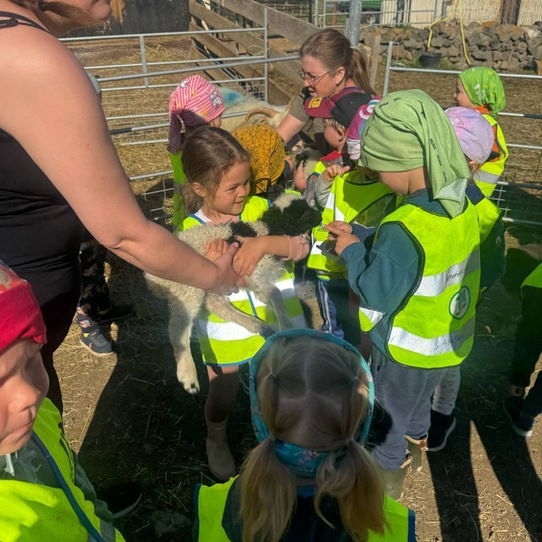 e0d1207c-5a7d-40ae-a700-9732a913361c