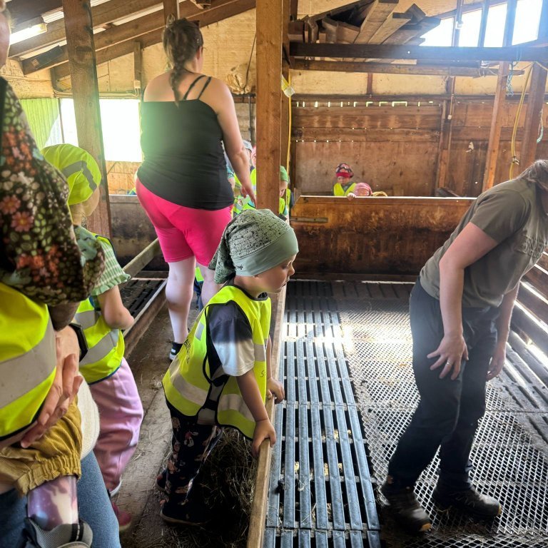 f4aaca55-06a9-4fb2-98bc-5c68dae1a51d