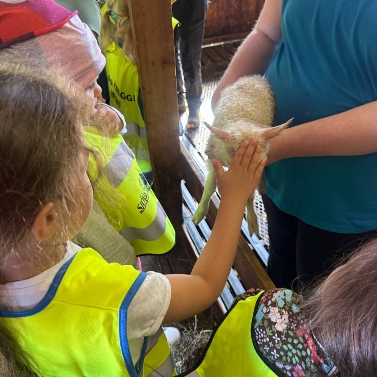 f50c6d8c-3569-4b2d-ba98-d3eb04f7e0ae