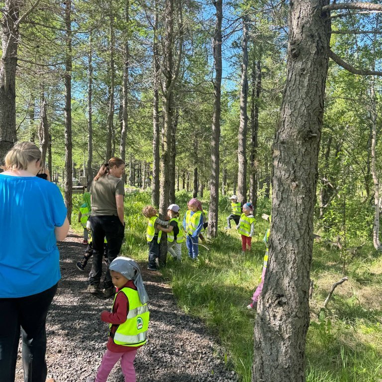 f56def53-5155-430a-a0d2-4d0ea03c11cb