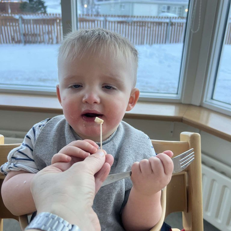 473102185_3720058678258161_7734620848511494606_n