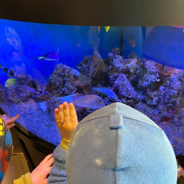 280147743_1236890190389758_3258505486064969291_n