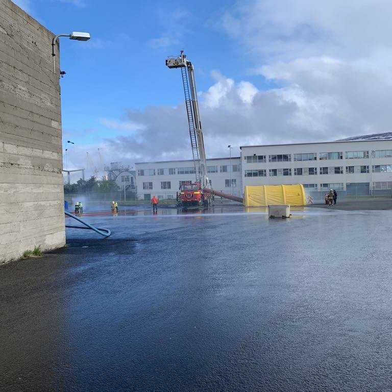 60004772_434602607102558_7521036404483162112_n