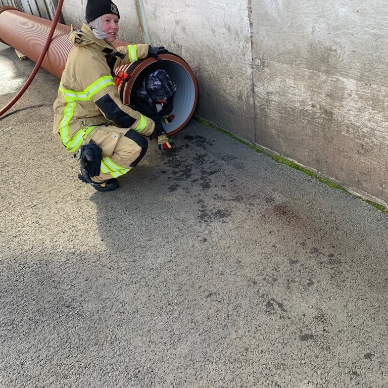 60047211_451101205663247_1944469069428162560_n