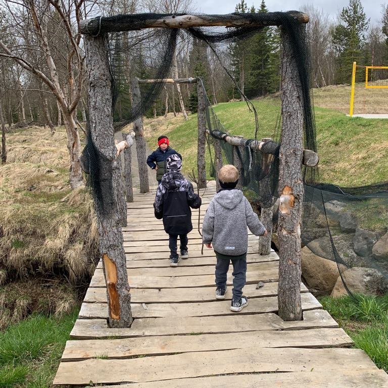 60355277_309358663291178_6951020186182877184_n