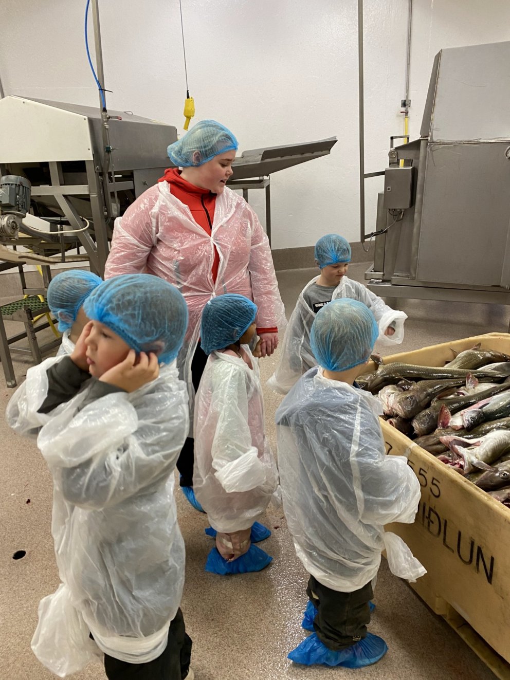 Þemadagar um hafið