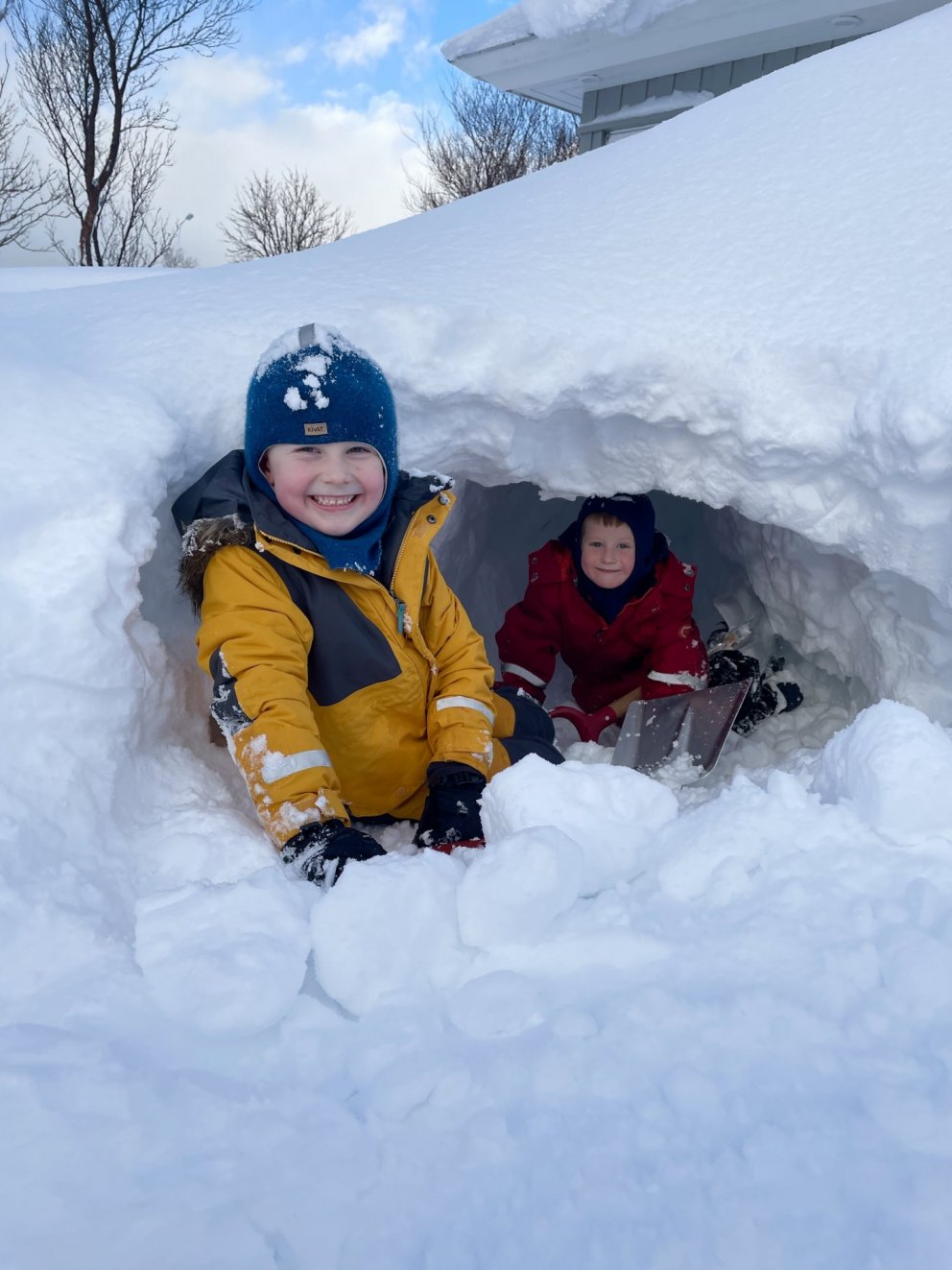 Vikan 7-11 febrúar 2022