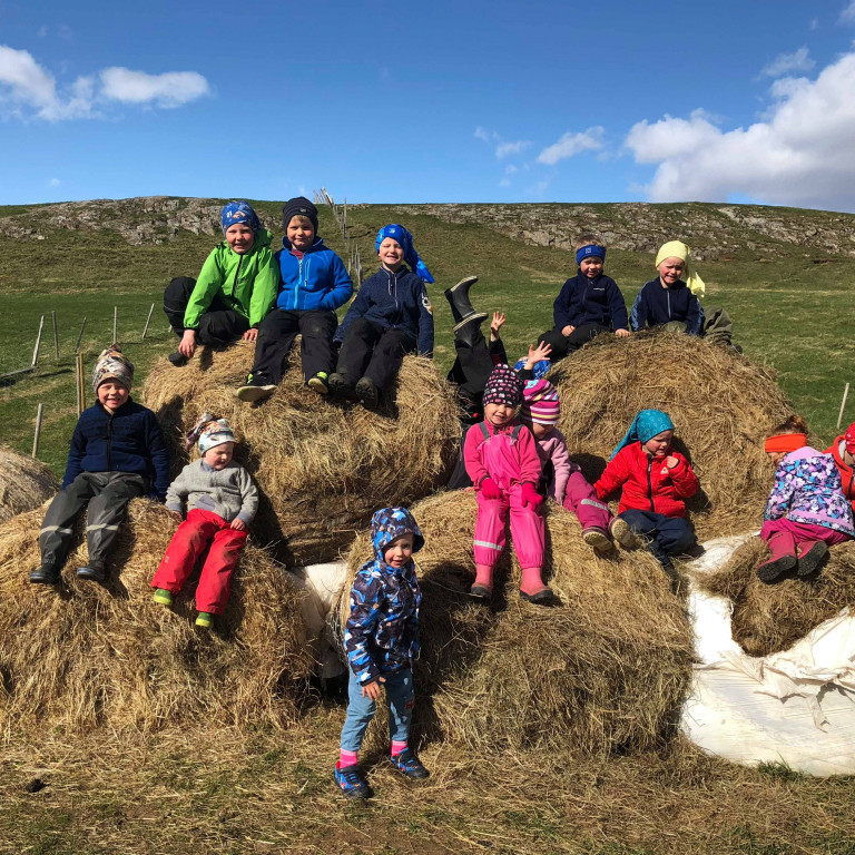 Sveitaferð í Höfða